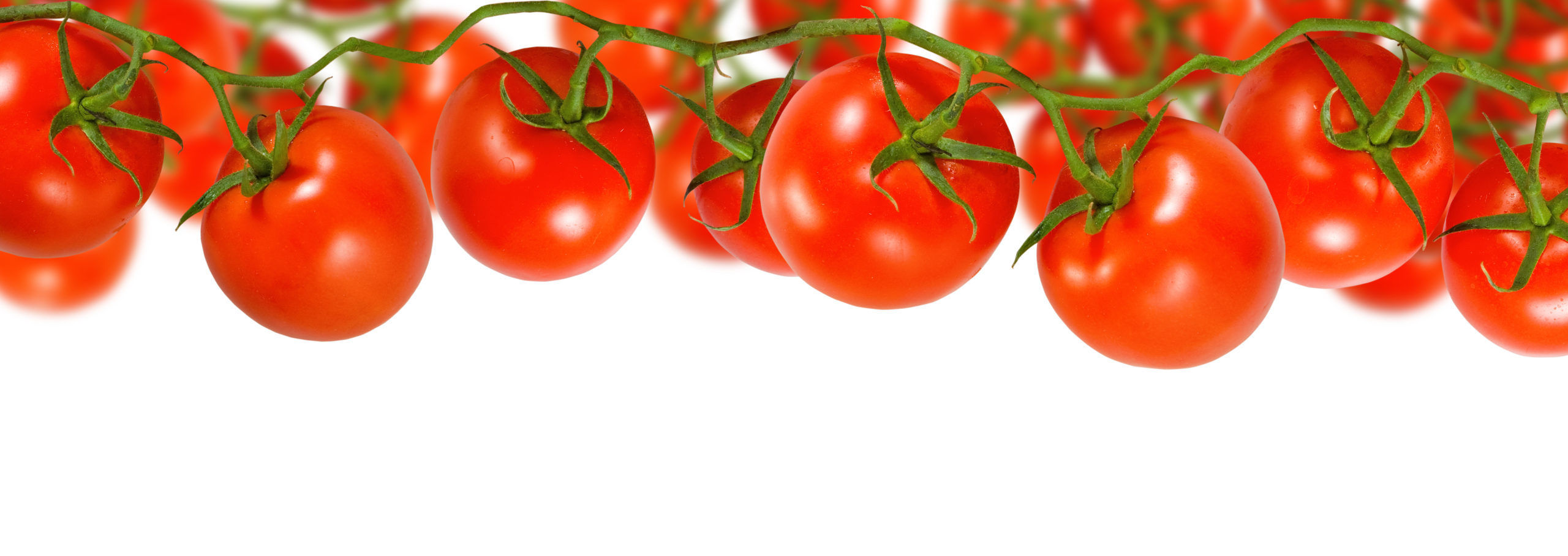 Soki pomidorowe – Sok z pomidorów 100% naturalny bez dodatku cukru – Lifeberry