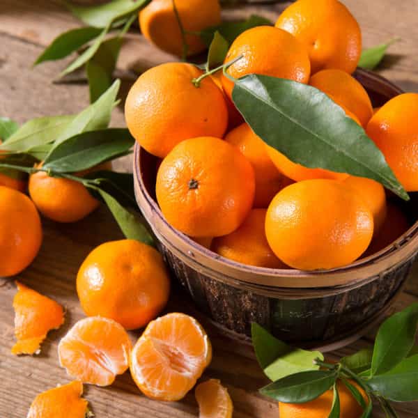 słodkie mandarynki
