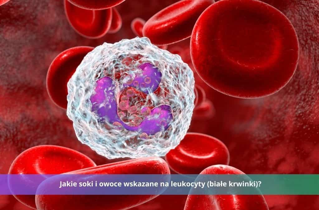 leukocyty białe krwinki